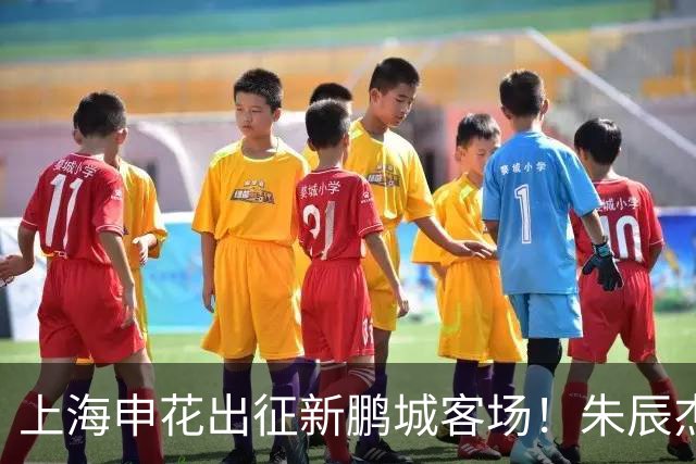 上海申花出征新鹏城客场！朱辰杰伤缺，中卫位置迎来全新组合
