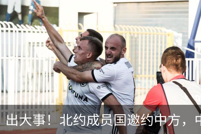 出大事！北约成员国邀约中方，中文接待王毅，中欧不该走向对立？
