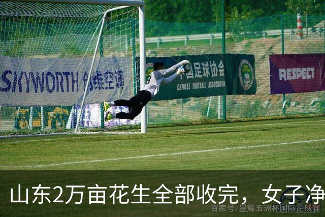 山东2万亩花生全部收完，女子净利润721万，婆婆和弟弟来要钱