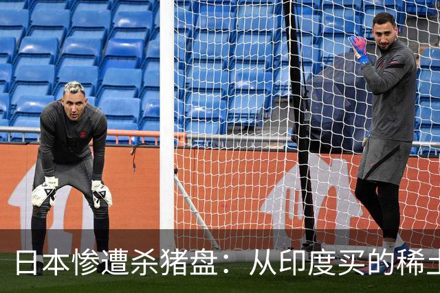 日本惨遭杀猪盘：从印度买的稀土都是中国货，这下血本无归了