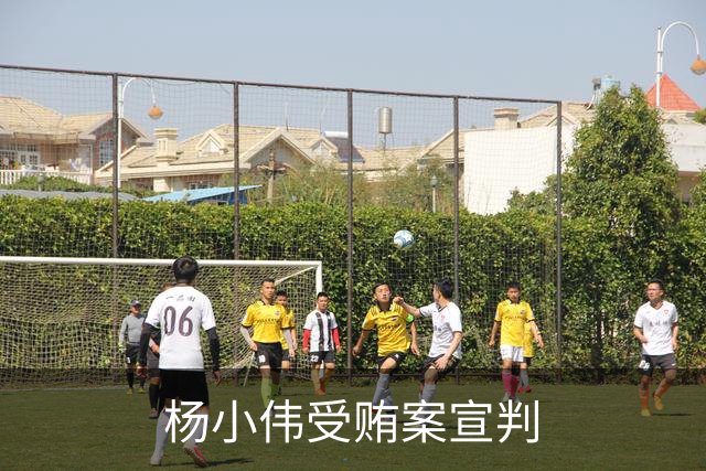 杨小伟受贿案宣判