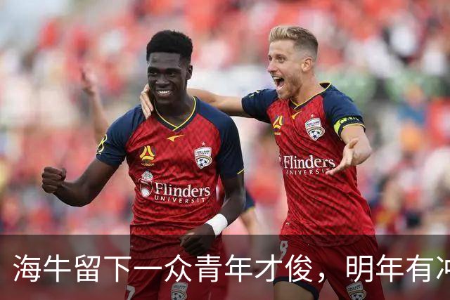 海牛留下一众青年才俊，明年有冲超实力，防止李苏达+金永浩被挖走