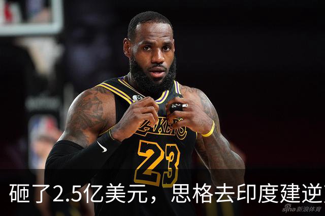 砸了2.5亿美元，思格去印度建逆变器储能厂，要给自己留足后路与筹码
