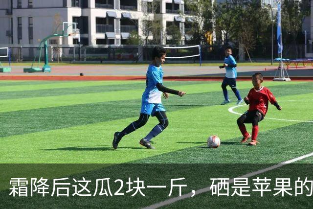 霜降后这瓜2块一斤，硒是苹果的14.5倍，几乎不打农药，很多人嫌它“长相怪”不懂吃