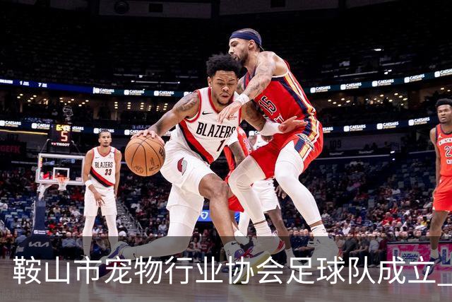 鞍山市宠物行业协会足球队成立 暨首场行业足球交流赛举行